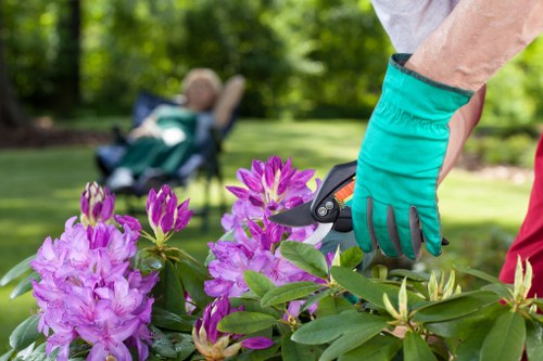 Professional gardeners enhancing a Walthamstow garden space